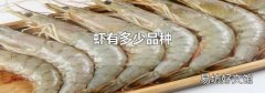 虾有多少品种