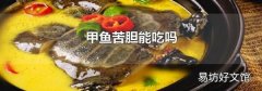 甲鱼苦胆能吃吗
