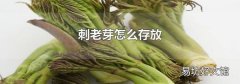 刺老芽怎么存放