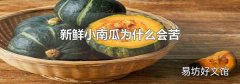 新鲜小南瓜为什么会苦