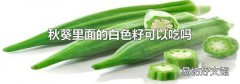 秋葵里面的白色籽可以吃吗
