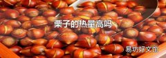 栗子的热量高吗