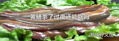 黄鳝杀了过夜还能吃吗