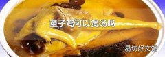 童子鸡可以煲汤吗