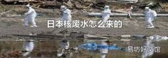 日本核废水怎么来的