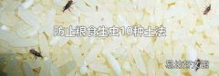 防止粮食生虫10种土法