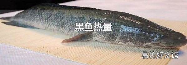 黑鱼热量