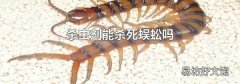 杀虫剂能杀死蜈蚣吗