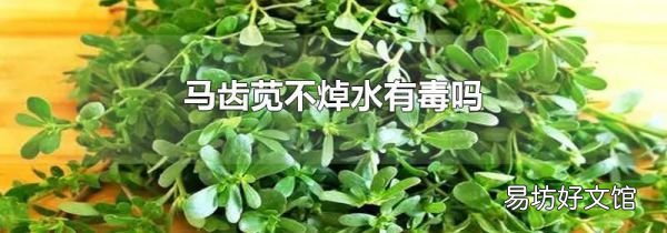 马齿苋不焯水有毒吗