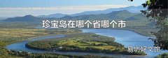 珍宝岛在哪个省哪个市