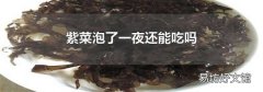 紫菜泡了一夜还能吃吗
