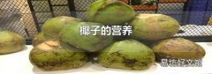 椰子的营养