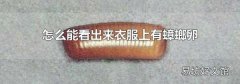 怎么能看出来衣服上有蟑螂卵
