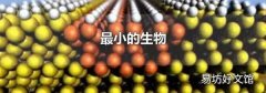 最小的生物