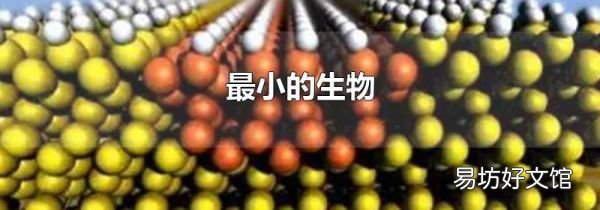 最小的生物