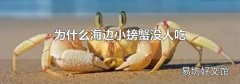 为什么海边小螃蟹没人吃