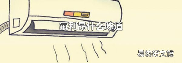 氟利昂什么味道