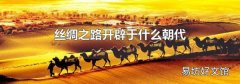 丝绸之路开辟于什么朝代