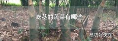 吃茎的蔬菜有哪些