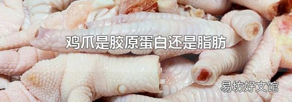 鸡爪是胶原蛋白还是脂肪