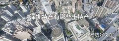 深圳特产有哪些土特产