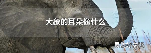 大象的耳朵像什么
