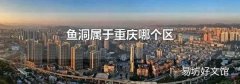 鱼洞属于重庆哪个区