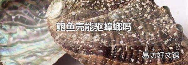 鲍鱼壳能驱蟑螂吗