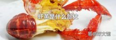 虾黄是什么部位