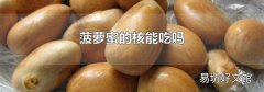 菠萝蜜的核能吃吗