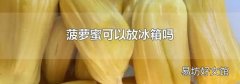 菠萝蜜可以放冰箱吗