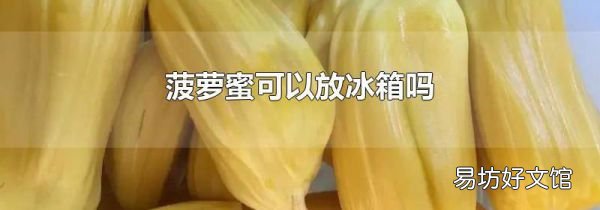菠萝蜜可以放冰箱吗