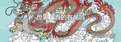 世界上真的有龙吗