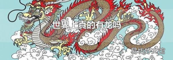 世界上真的有龙吗