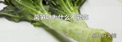 莴笋叶为什么不能吃