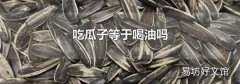 吃瓜子等于喝油吗