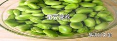 蚕豆营养