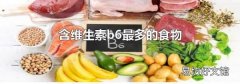 含维生素b6最多的食物
