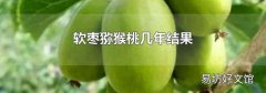 软枣猕猴桃几年结果