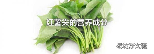 红薯尖的营养成分