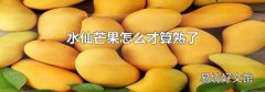 水仙芒果怎么才算熟了