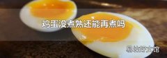 鸡蛋没煮熟还能再煮吗