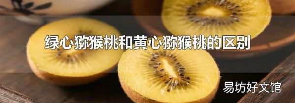 绿心猕猴桃和黄心猕猴桃的区别
