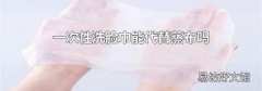 一次性洗脸巾能代替蒸布吗