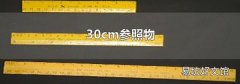 30cm参照物
