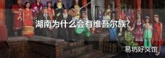 湖南为什么会有维吾尔族?