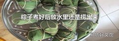 粽子煮好后放水里还是捞出来