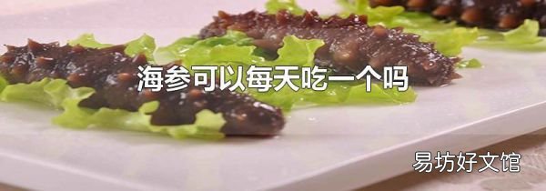 海参可以每天吃一个吗