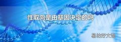 性取向是由基因决定的吗