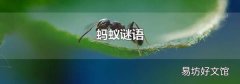 蚂蚁谜语